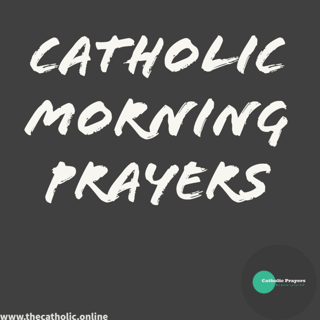 Daily Prayers » THE CATHOLIC